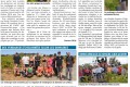 Article de Presse Vendanges 2019 et 2020