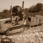 Galerie photos dans les vignes sepia