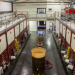 Galerie photos vinification